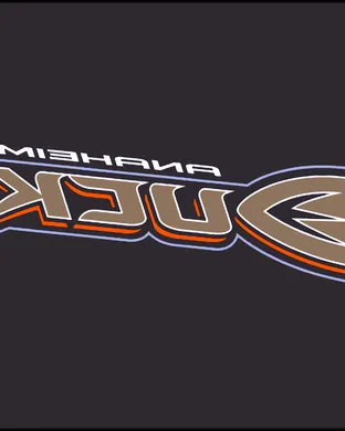 Anaheim Ducks vs. Florida Panthers