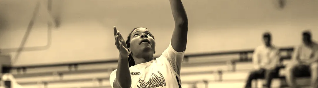 Bethune-Cookman Wildcats Basketball