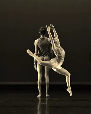 Dance Now! Miami: Love-Less - Dance of The Last Moho Braccatus