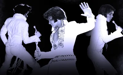 Matt Stone as ELVIS