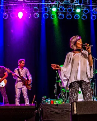 The New York Bee Gees - Bee Gees Tribute