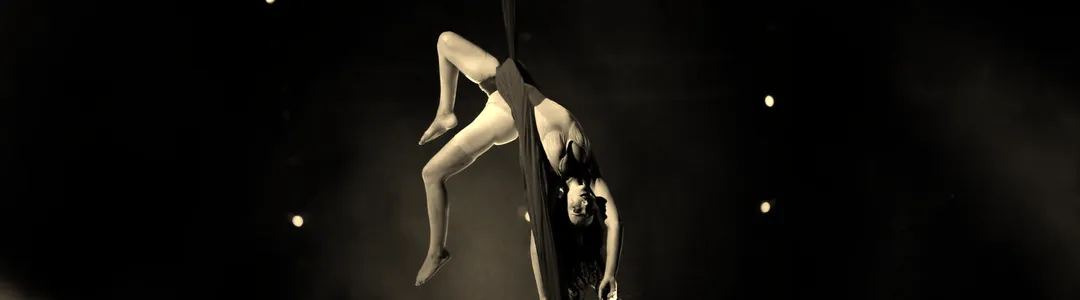 Paranormal Cirque III