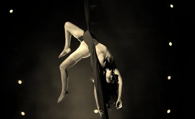Paranormal Cirque III