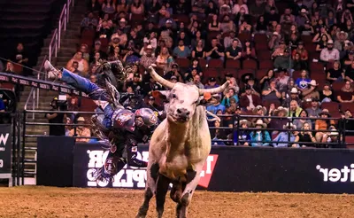PBR: Teams Series