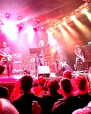 The Psychedelic Furs & Living Colour