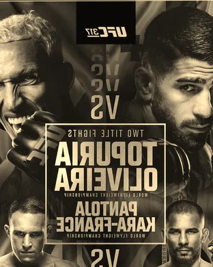 UFC 327: Prochazka vs. Ulberg sports event