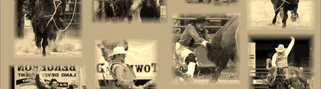 Weekley Brothers Davie Pro Rodeo