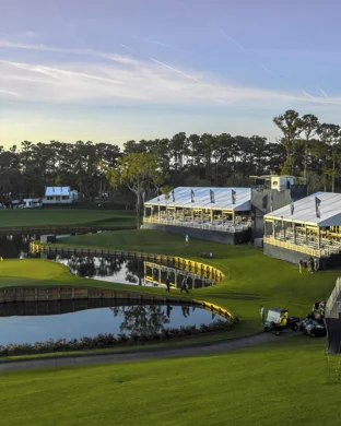 U.S. Open Polo Championship Final