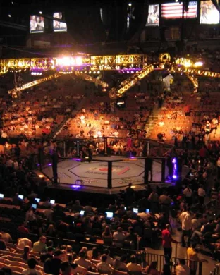 Black Belt Spectacular sports event
