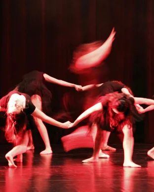 Luis Bravo's Forever Tango