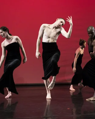 Dance Dimensions: Dance To The Music